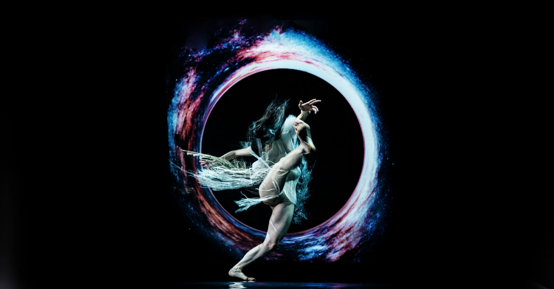 Danse Danse Inc. logo